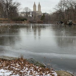 Meet your Posher, Shea